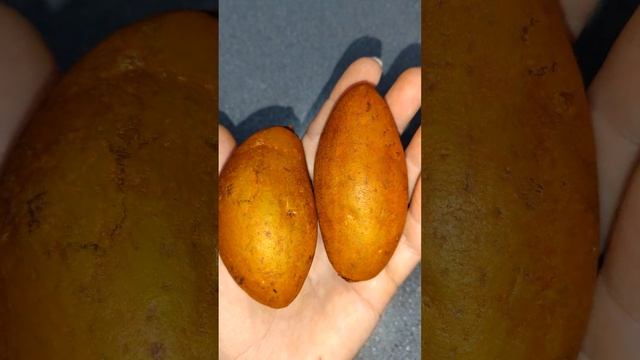 А вы пробовали САПОДИЛЛУ? смотреть онлайн