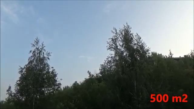 ястреб перепелятник в Самаре 2016 г. 2 часть. смотреть онлайн