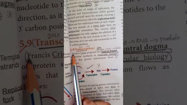 12 th Ln_5 Zoology most important book inside questions (Molecular genetics) смотреть онлайн