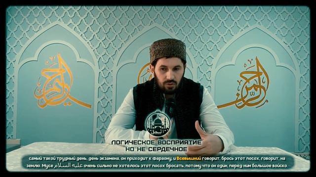 Логическое восприятие но не сердечное смотреть онлайн