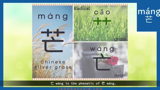 How to Understand Chinese Characters Components - Chinese Radicals Grass - Ep.1 смотреть онлайн