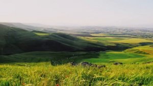 Интересные истории. Влюбился и онемел. Истории для души. Рассказы.