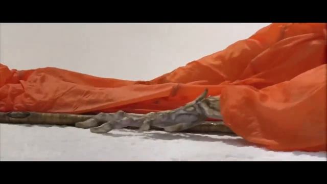 НЛО вторглись на землю, но людям удалось захватить одного в плен смотреть онлайн