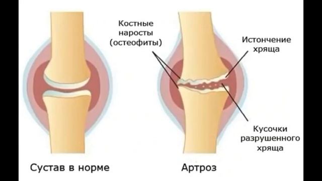 Тарасов о медицине