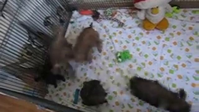 MVI 1153 смотреть онлайн