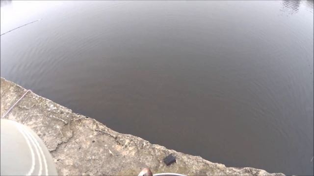 Ловля крупной плотвы на фидер в Марьино смотреть онлайн