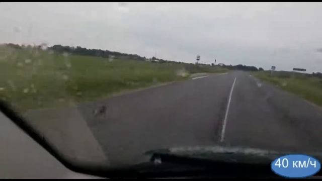 Скорость бега зайца. смотреть онлайн