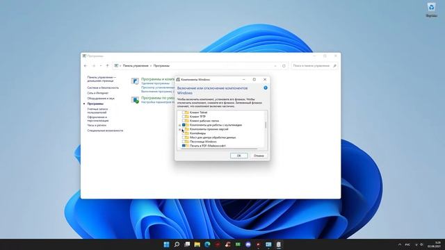 Актуальное и простое решение проблемы с DirectX смотреть онлайн