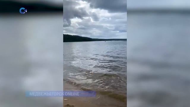 Берег карельского озера усеяла мертвая ряпушка смотреть онлайн