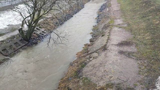 ЖИВУ НА 3000 С ДВУМЯ ДЕТЬМИ день 5