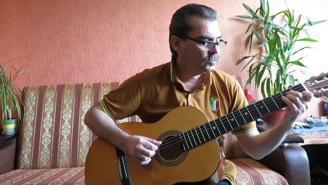 тонкая рябина | на гитаре,простая аранжировка. смотреть онлайн