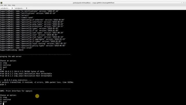 FD.io's Vector Packet Processing (VPP) meets gNMI | PANTHEON.tech смотреть онлайн