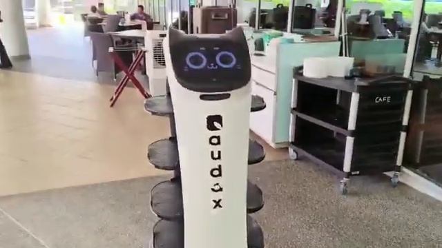 Singapore SAP || AI, IOT, ML & DA || IEM America Corp. & Smart Society || NUSS || July 2023 смотреть онлайн