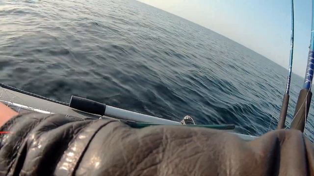 Рыбалка в КАРЕЛИИ на СЕГОЗЕРЕ!!! ПРЫГАЮЩИЙ ЛОСОСЬ!!! смотреть онлайн