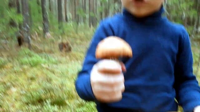 Путешествие на грибную полянку! Правила безопасности в лесу для родителей и детей! смотреть онлайн