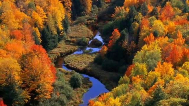 осенний эскиз смотреть онлайн