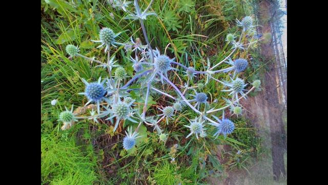 18.03.2021 Родина.mp4