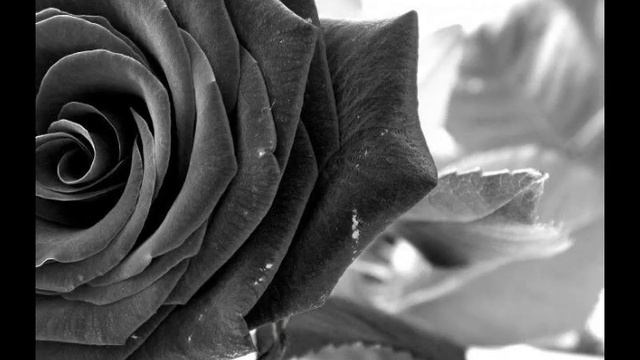 С любимыми не расставайтесь! смотреть онлайн