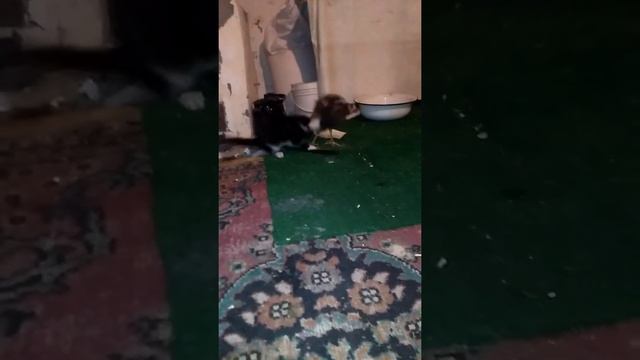 Молодой боец смотреть онлайн
