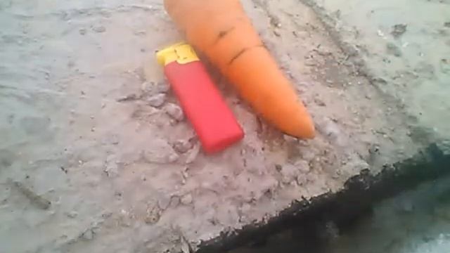 Корсар 1 vs морковь смотреть онлайн