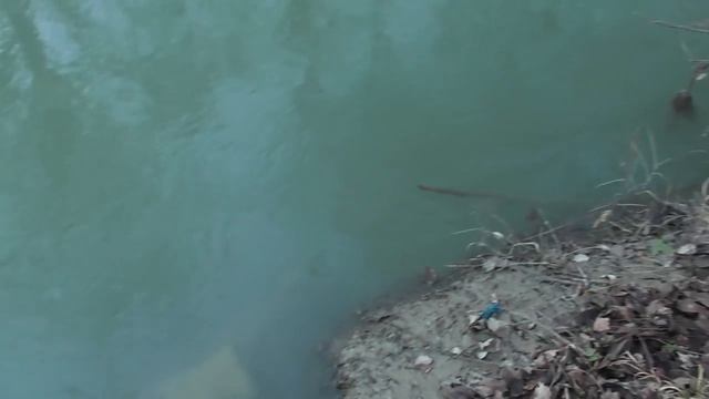 РЕКА БЕЛЬБЕК СЕЛО ДАЛЬНЕЕ СЕВАСТОПОЛЬ 15 01 2021 смотреть онлайн