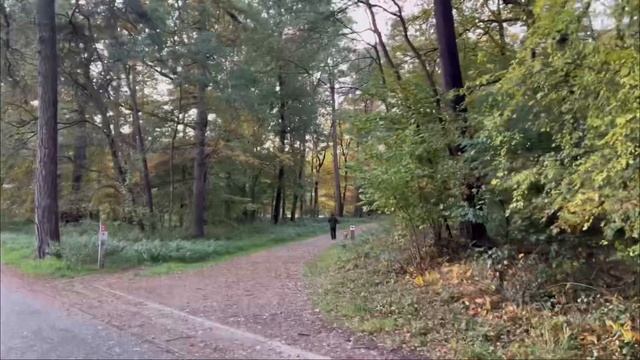 VLOG????✨Закупка в LIDL ?/ Рецепт творожной запеканки ?/ прогулка в лесу ??☀️ смотреть онлайн