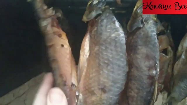 ?Как коптить горбушу? Как закоптить горбушу целиком? смотреть онлайн