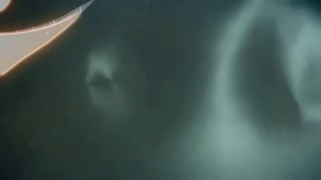 Наши дети смотреть онлайн
