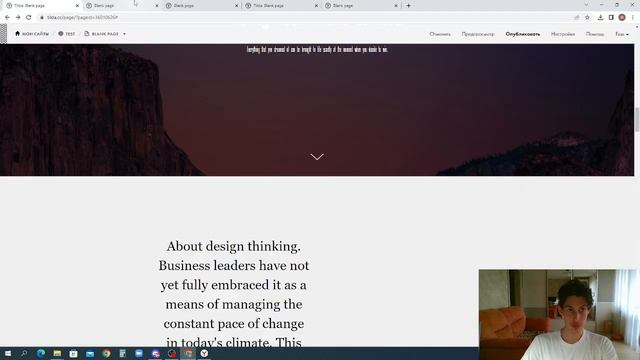 Стандартные блоки Тильда смотреть онлайн