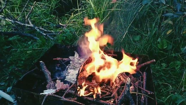 Тихая рыбалка в сентябре.Тюмень озеро Лебяжье. #Тюмень #Рыбалка #Безслов смотреть онлайн