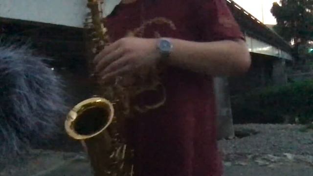 【jazz】Yardbird Suite - improvisation with the Martin alto sax смотреть онлайн