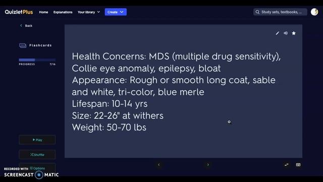 ID Notes: Dogs- Herding group смотреть онлайн