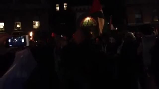 Dror Feiler - Palestina solidaritet 2012 смотреть онлайн