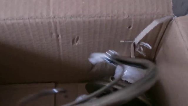 ОНЛАЙН ТРЕЙД.РУ Потолочная люстра Odeon Light Carolina 3206/3C