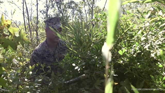 Marine Corps Scout Sniper Course: Cover and Concealment смотреть онлайн