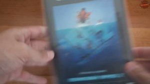 Моя Коллекция DVD-Фильмов Часть-1