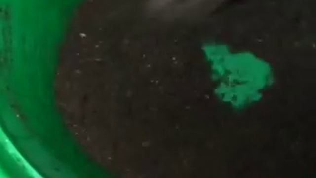 DUNAEV PREMIUM ПЛОТВА