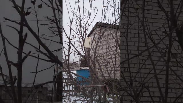 наступила зима ☃️🌨️🌬️пора кормить пернатых🦅🕊️🦉# птичья  зимняя столовая#