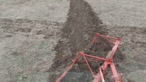 Гребенка, Гребен на плуг 5х.35/40 Ламборгини Виктори 260