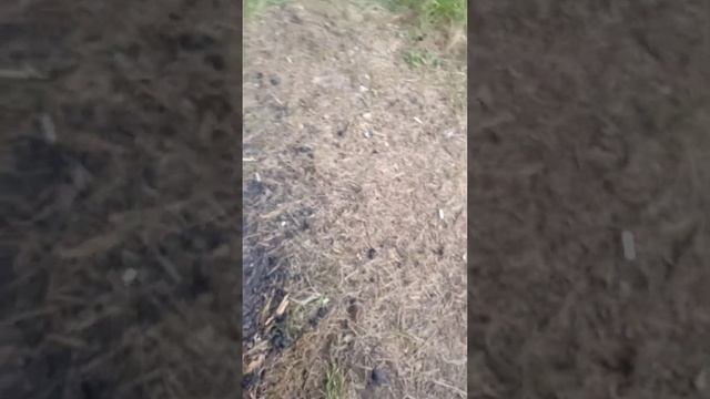 9 сентября 2023 г. смотреть онлайн