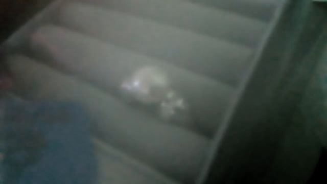 Мои украшения от wildberries. Речной жемчуг. Красные бусы. Кораллы. Чёрный жемчуг. Серебро. смотреть онлайн