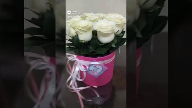 Обворожительные розы Мондиаль радуют взор безупречной формой высокого бокала и чистотой цвета. смотреть онлайн