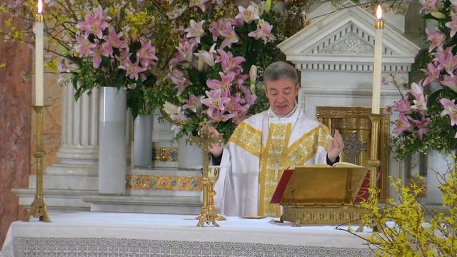 English Mass 04 11 23, Tuesday in the Octave of Easter смотреть онлайн