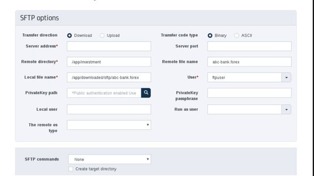CA Workload Automation: FTP, SCP, and SFTP Job Types смотреть онлайн
