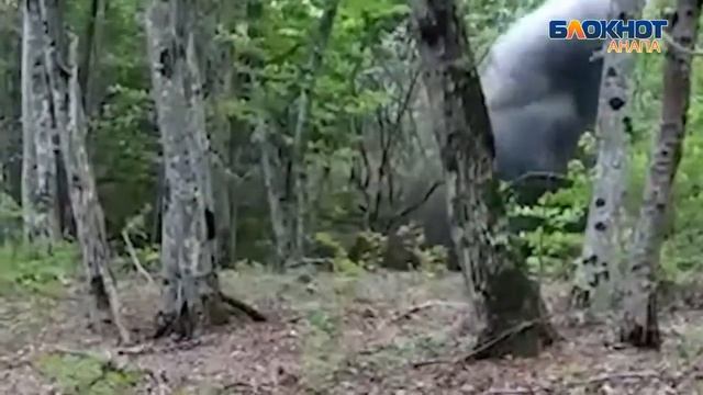 В Гостагаевском лесу под Анапой нашли две гранаты РГ-42 и взорвали смотреть онлайн