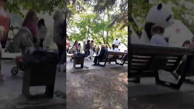 ржательный ролик. пьяный медвежонок панди смотреть онлайн