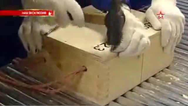 «Звезде» впервые показали золотой запас России смотреть онлайн