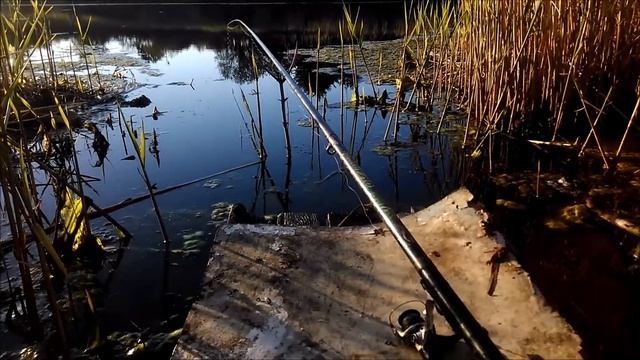 подготовка места для рыбалки смотреть онлайн