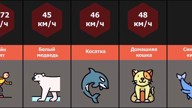 Сравнение скорости животных смотреть онлайн
