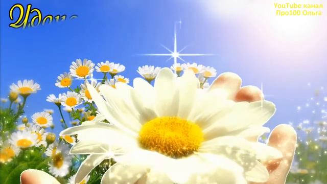 Венец всех ценностей-семья смотреть онлайн